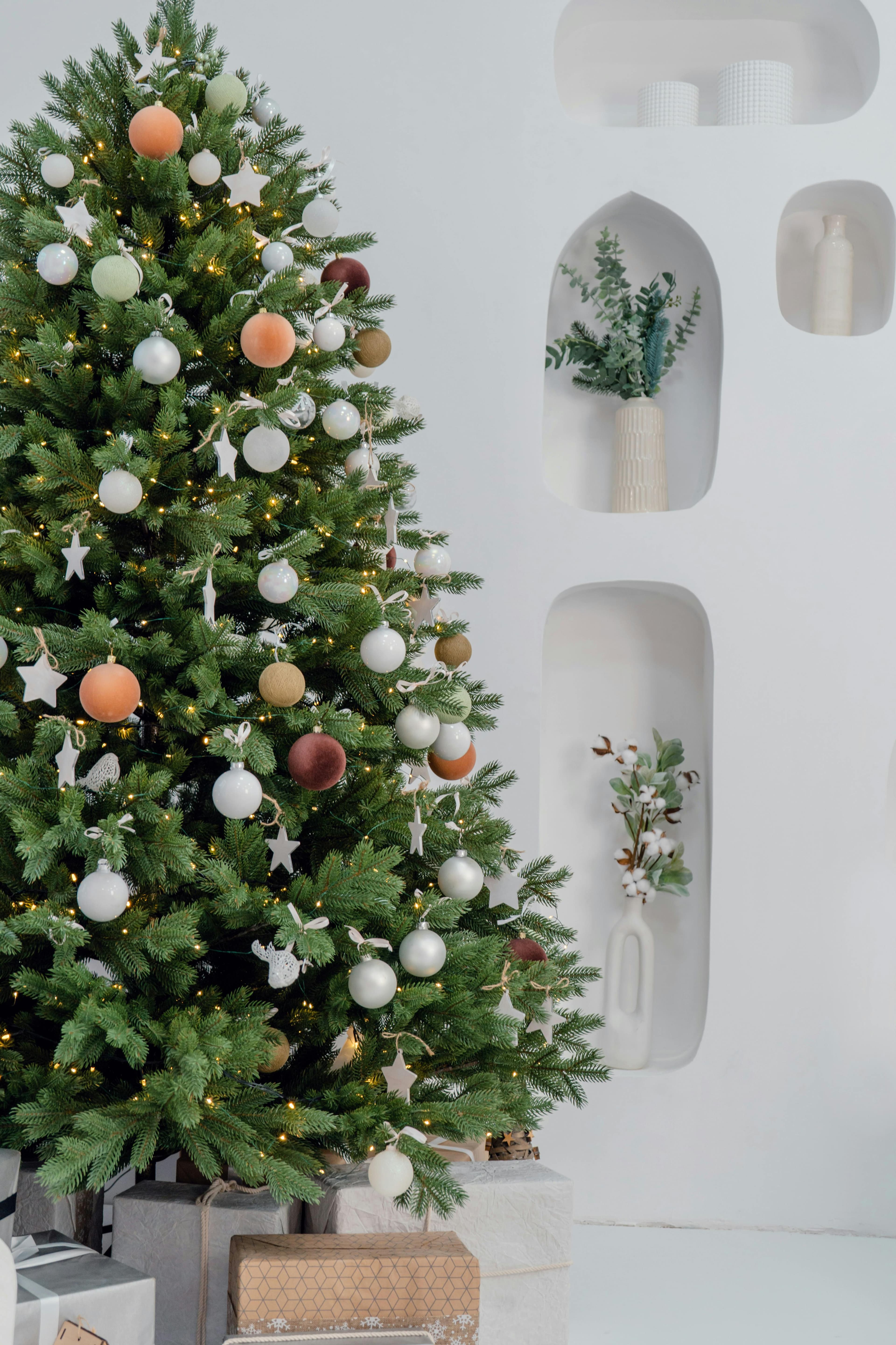 Cypress Christmas Tree