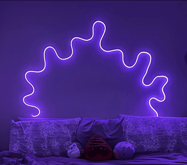 DIY Neon Strip LED Light