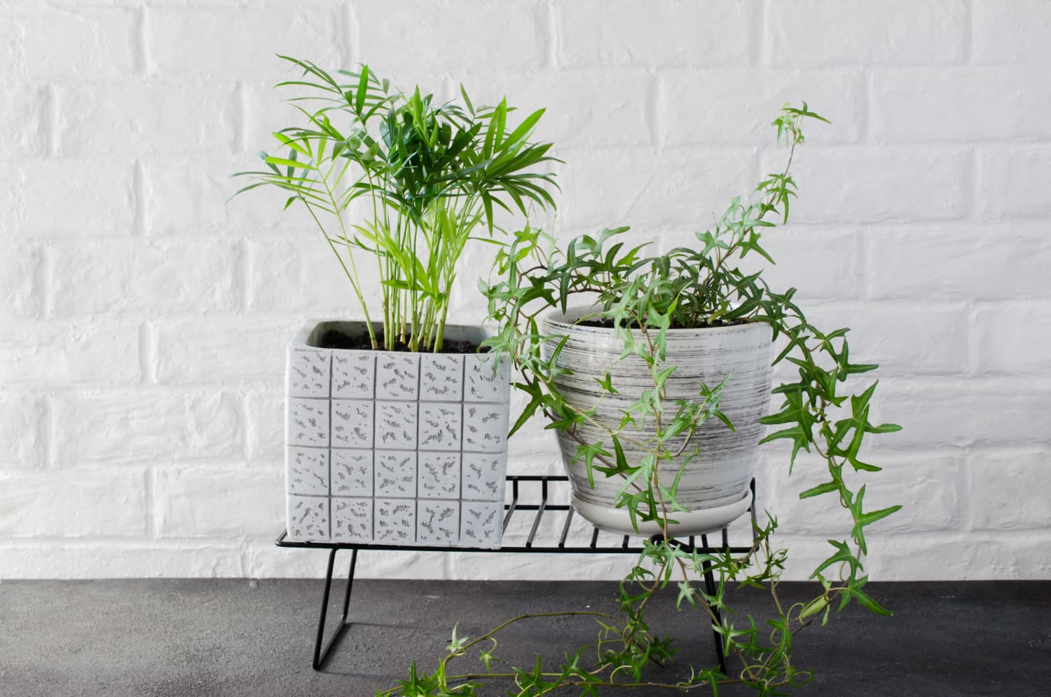 Rattan Planters