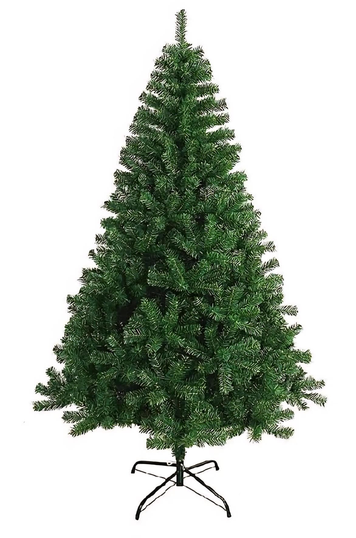 Cypress Christmas Tree